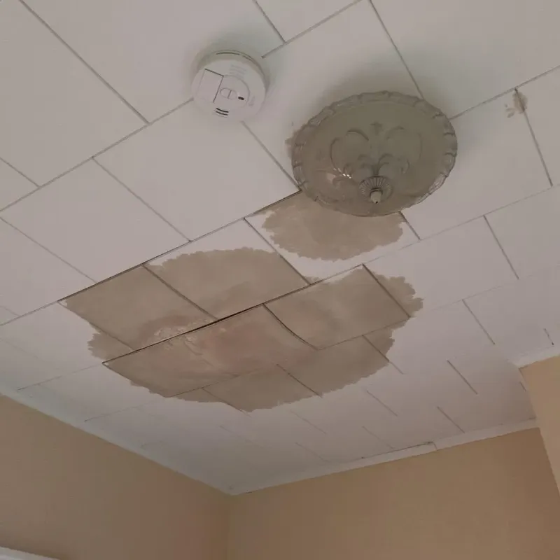 Ceiling Water Damage Repair in Delcambre, LA